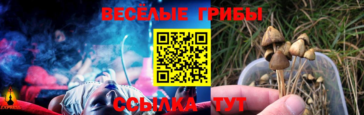 Галлюциногенные грибы ЛСД Дагестанские Огни